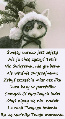 Szary kotek przychodzi z życzeniami na mikołajki